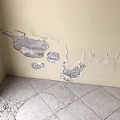 Диагностика повреждений стен от компании Damp Detectives