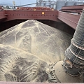Purchase of grains