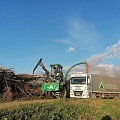 Transportation of wood chips