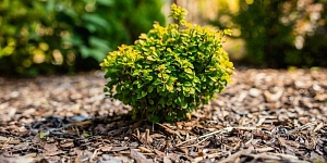 История агрегатов