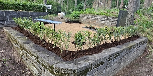 Наши работы