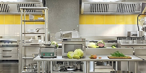 Repair of kitchen appliances