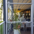 Pergolas and awnings