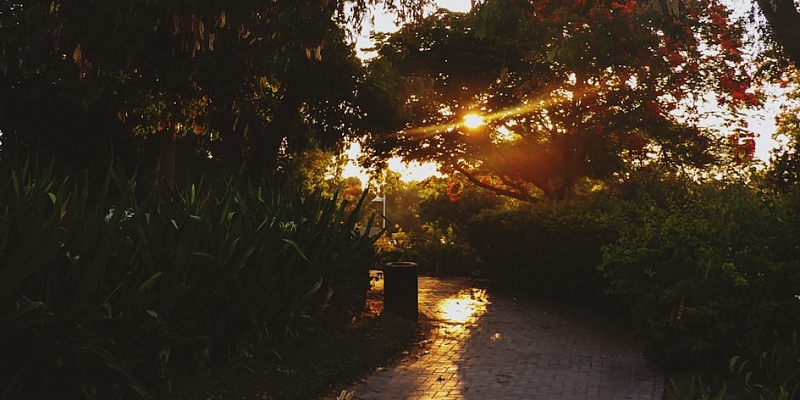 Burial, organization of the funeral and cremation process