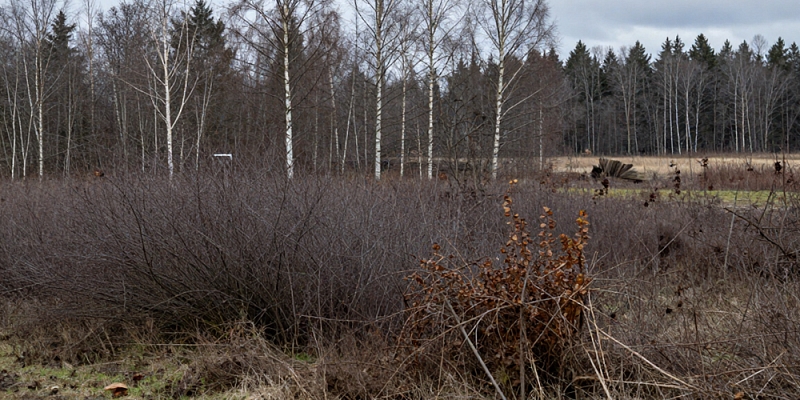Overgrowth removal