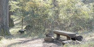 Поддержка в моменты скорби