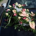 Expensive bouquets of flowers in Talsi