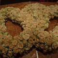 Flowers for weddings