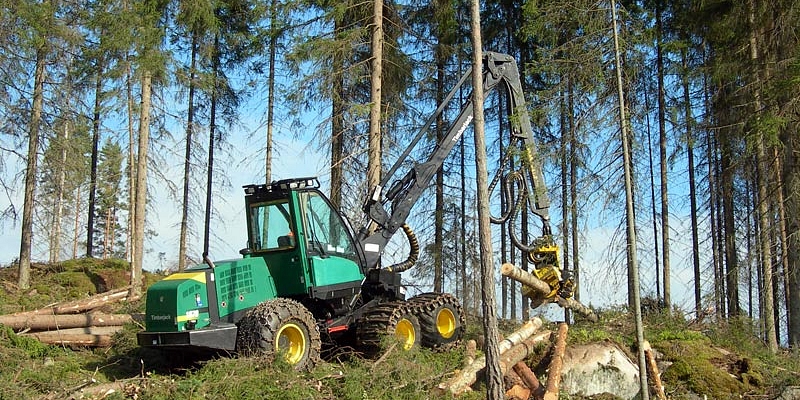Forest taxation, forest assessment, forest, buying of felling sites, buys forest