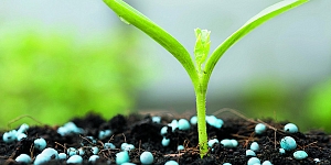 Plant protection products, herbicides, fungicides, stains