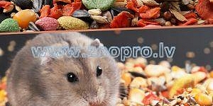 Грызунов