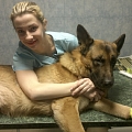 ветеринарная клиника