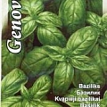Basil. Vegetable, herb, lawn seeds