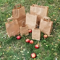 Paper bags with handles