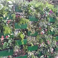 Decorative grids of green walls