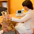 Neurosonography, sonography in infants, neurosonography in infants in Valmiera