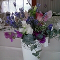 Flowers in Kegums
