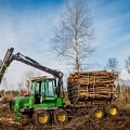 Удаление леса в Даугавличах