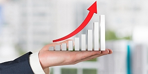 Annual report