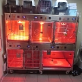 Outpatient hospital with heating and oxygen chamber