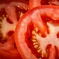 siltumnīcas tomāti
