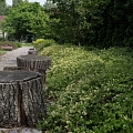 Landscape architecture