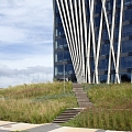 Greening of the university territory