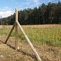 Welded agricultural fence