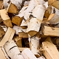 Birch wood