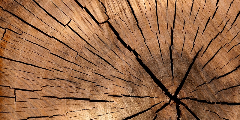 Firewood