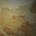 Компания Damp Detectives занимается устранением последствий воздействия влаги