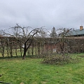 Removing dangerous branches