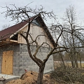 Arborist services