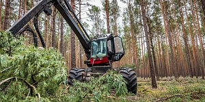 Logging