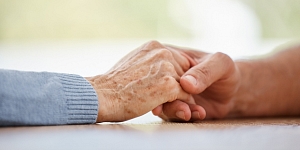 Document preparation and consultations