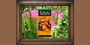 Как использовать масла?