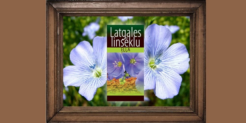 Par "Eļļas Ķēķis"