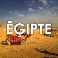 Exotic trips