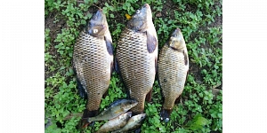 Fishing in Skrunda
