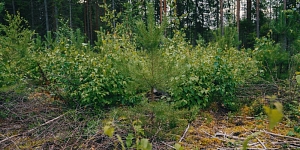 Связаться с нами