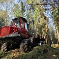 Работа лесозаготовительной техники: сбор и вывоз древесины с места вырубки