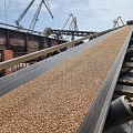 Grain export