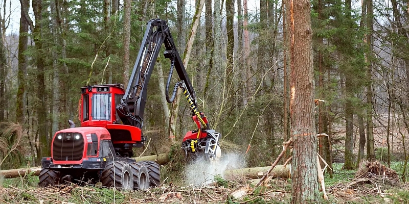 Purchase of fellings and forests