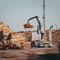 Sale of logs