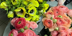 Цветочные композиции и флористика