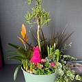 floristry