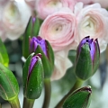 bouquet making