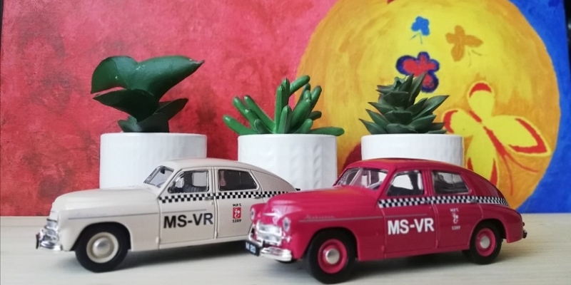 Почему выбрать MS-VR Ventspils Taxi