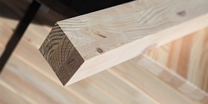 Window beams