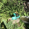 Water pump and sprinkler system for garden watering